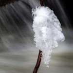 Ice on a tree branch
