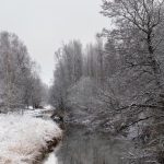 River with frozen branches above