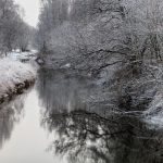 River with frozen branches above