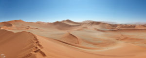 Panorama of sand dunes