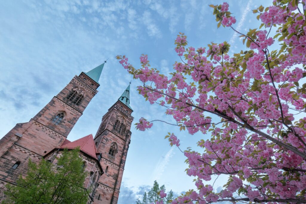 Zweiturmige Kirche aus rotem Sandstein, grüne Türme, rosa Kirschblüten im Vordergrund, blauer Himmel