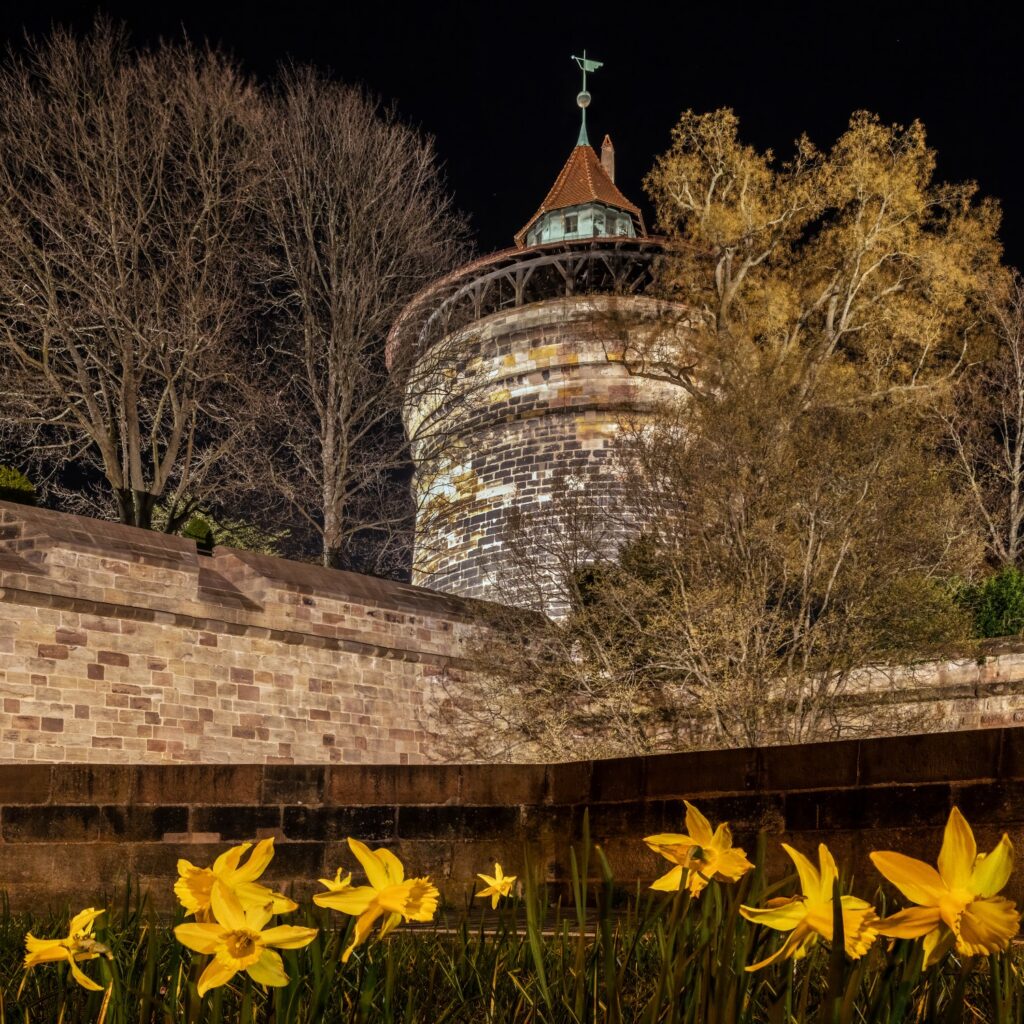 Nachtaufnahme eines runden mittelalterlichen Turms mit Steinmauer, von Bäumen umgeben; gelbe Narzissen im Vordergrund.