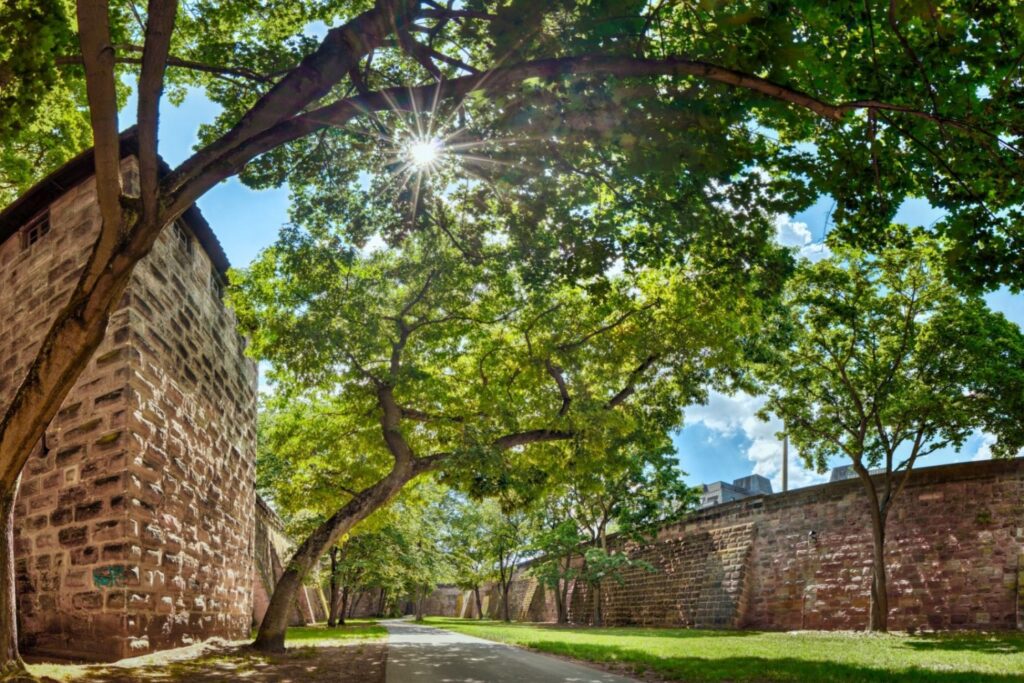 Sonniges Park- oder Stadtmauer-Motiv: Ein geschwungener Baum mit dichtem, grünem Blätterdach spannt sich über einen gepflasterten Weg. Die Sonne bricht als heller Stern durch die Blätter und wirft Lichtflecken auf den Boden. Links und rechts stehen hohe, historische Steinmauern aus rötlichem Sandstein, dahinter ragen vereinzelt Gebäude hervor. Die Szene wirkt ruhig und sommerlich.