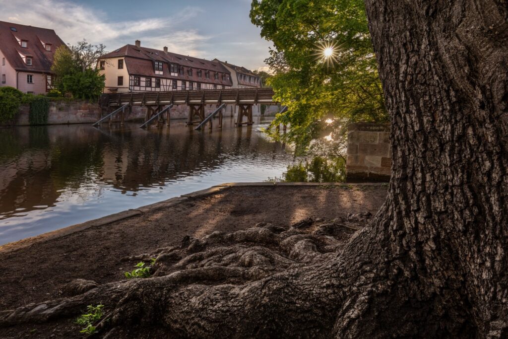 Ein großer Baum mit kräftigem Stamm und freiliegenden Wurzeln steht im Vordergrund am Ufer eines ruhigen Flusses. Im Hintergrund führt eine hölzerne Brücke zu einer Reihe historischer Fachwerkhäuser mit roten Dächern. Die tief stehende Sonne scheint durch das grüne Blätterdach und spiegelt sich im Wasser, wodurch eine warme, stimmungsvolle Abendatmosphäre entsteht.