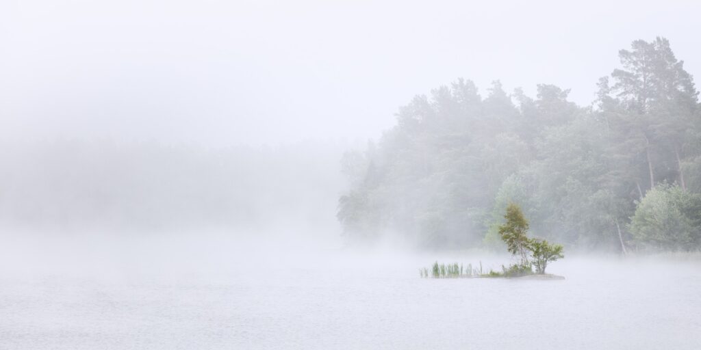 Nebliger See mit kleiner Insel, Bäumen und Wald im Hintergrund – ruhige Naturaufnahme im Frühnebel.