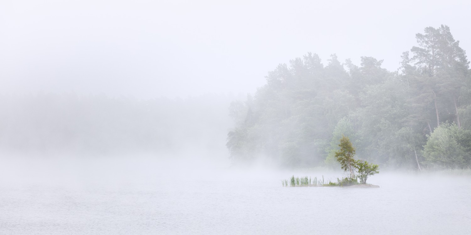 Nebliger See mit kleiner Insel, Bäumen und Wald im Hintergrund – ruhige Naturaufnahme im Frühnebel.