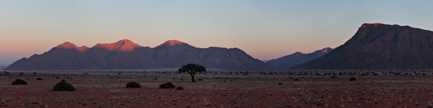Wüstenlandschaft bei Sonnenuntergang: einsamer Baum, roter Boden und Bergkette im Hintergrund.