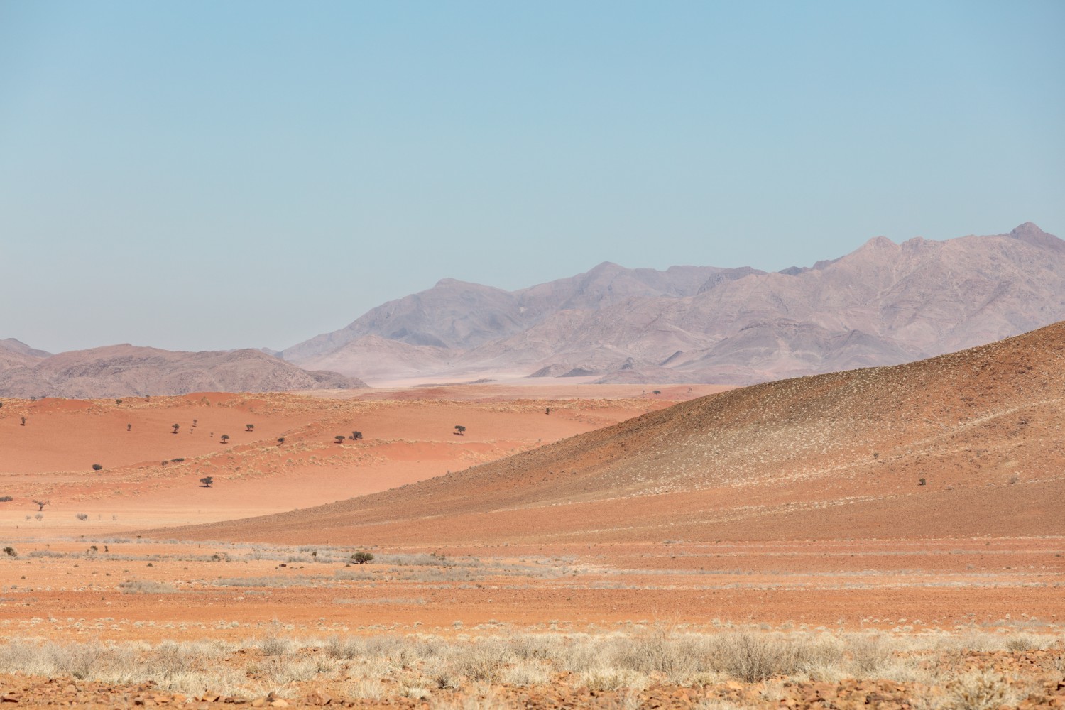 Wüstenlandschaft mit roten Sanddünen, sanften Hügeln und fernen Bergketten unter blauem Himmel.