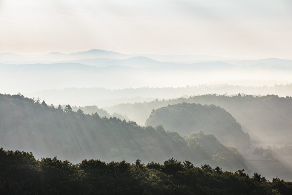 Nebliger Wald mit sanften Hügeln im Morgendunst; Sonnenstrahlen durchziehen die Landschaft, ruhiges Naturpanorama.