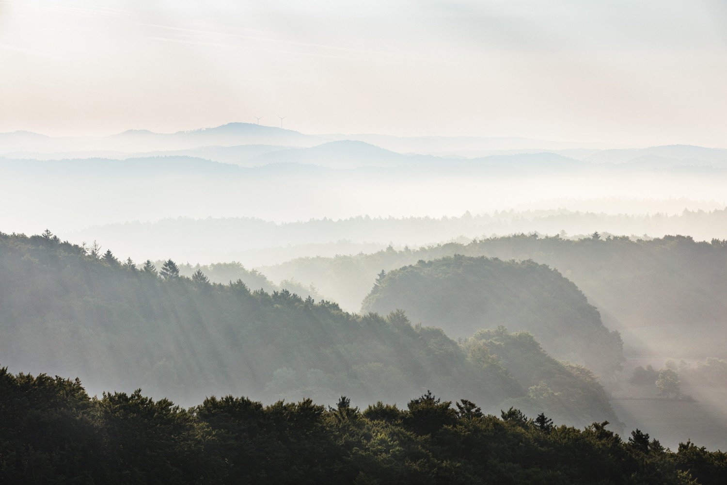 Nebliger Wald mit sanften Hügeln im Morgendunst; Sonnenstrahlen durchziehen die Landschaft, ruhiges Naturpanorama.