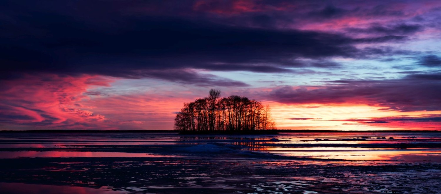 Sonnenuntergang über Insel mit kahlen Bäumen, Spiegelung der Farben im ruhigen Wasser.