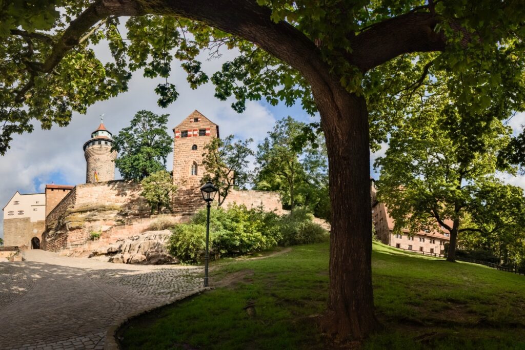 Ein großer Baum mit grünen Blättern umrahmt eine auf einem Felsen thronende historische Burganlage mit markanten Türmen und Mauern, die von einem gepflasterten Weg und einer grünen Parklandschaft umgeben ist.
