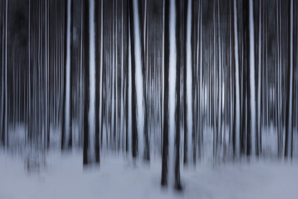 Verschneiter Wald mit verschwommenen Baumstämmen, die eine mystische Atmosphäre schaffen.