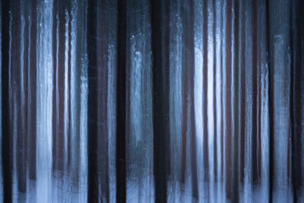 Dunkler Wald mit verschwommenen Baumstämmen und einer geheimnisvollen, nebligen Atmosphäre. Die Farben sind überwiegend in Blau- und Grautönen gehalten, was eine mystische Stimmung erzeugt.