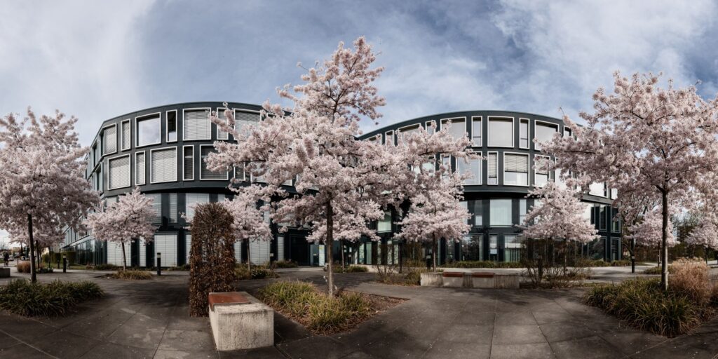 Modernes, kurvenförmiges Bürogebäude mit Glasfronten, umgeben von blühenden Kirschbäumen.