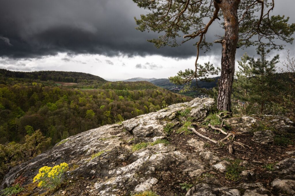 Felsenlandschaft mit einem Baum und bewaldeten Hügeln unter einem dramatischen, bewölkten Himmel. Die Szene zeigt frisches Grün im Frühling und eine abwechslungsreiche Topografie.