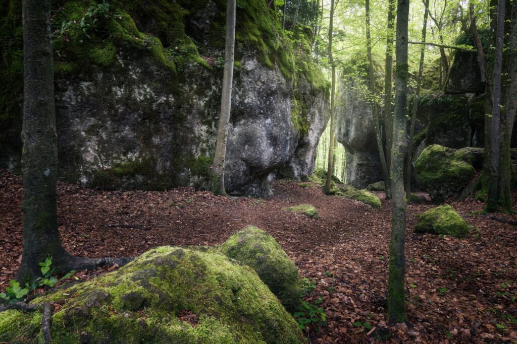 Ein malerischer Waldweg zwischen moosbedeckten Felsen und hohen Bäumen, umgeben von herbstlichem Laub, das sanft auf dem Boden liegt. Das Licht fällt durch die Baumkronen und schafft eine friedliche, natürliche Atmosphäre.
