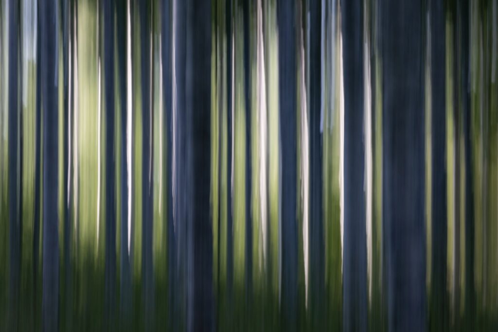 Abstrakte Darstellung eines Waldes mit verschwommenen Baumstämmen und sanften Lichtakzenten im Hintergrund, die eine ruhige und mystische Atmosphäre schaffen.
