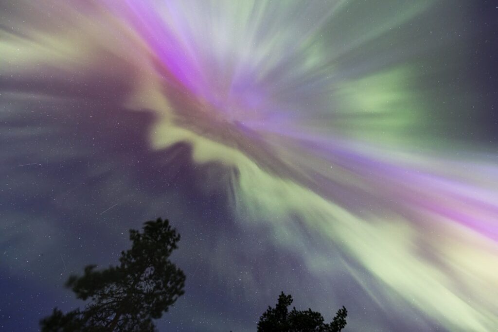 Nordlichter (Aurora Borealis) über Sternenhimmel, grüne und lilafarbene Lichtbänder, Baumsilhouetten im Vordergrund.