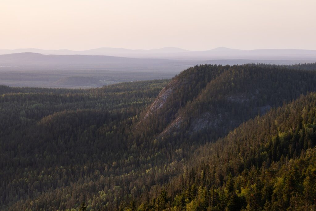 Weite Aussicht auf bewaldete Hügel und Berge in der Natur, sanfte Nebelschichten im Hintergrund, ideal für Landschafts- und Naturfotografie.
