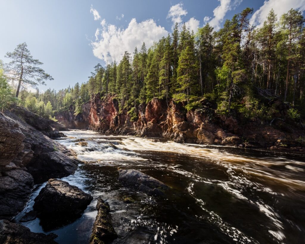 Ein malerischer Fluss mit schäumendem Wasser fließt durch eine bewaldete Landschaft, umgeben von hohen Tannen und roten Felsen unter einem klaren blauen Himmel mit einigen Wolken.