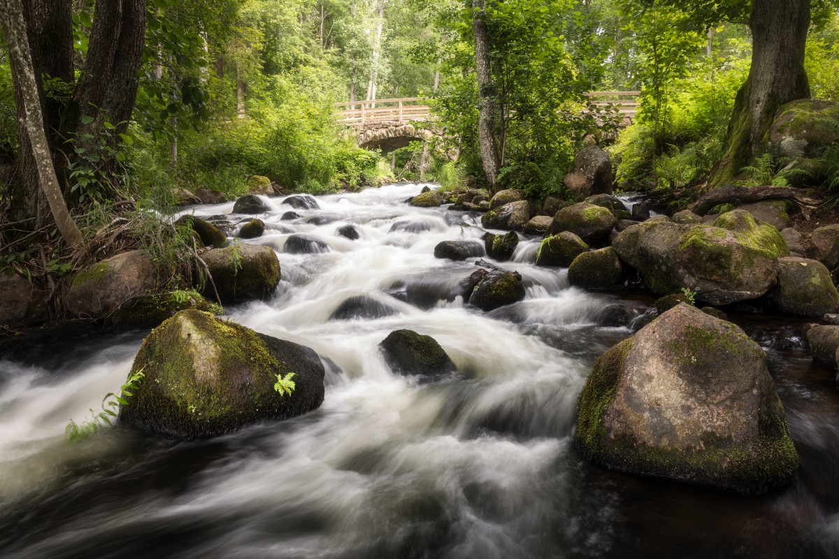 Ein malerischer Bach fließt über große, moosbedeckte Steine, umgeben von üppigem Grün und Bäumen. Im Hintergrund ist eine Holzbrücke zu sehen, die den Fluss überquert.