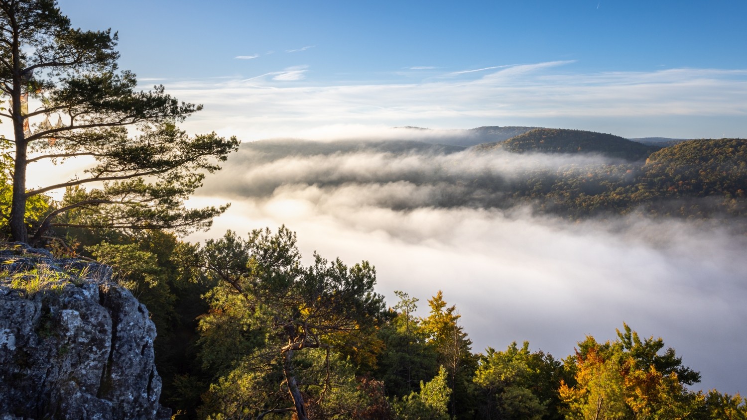 Morgennebel über Waldlandschaft in den Bergen, Felsvorsprung und Pinien im Vordergrund, Herbstfarben im Wald.
