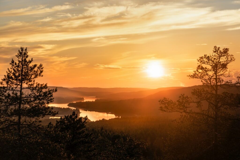Sonnenuntergang über Waldlandschaft mit Fluss, Bäume im Vordergrund als Silhouetten.
