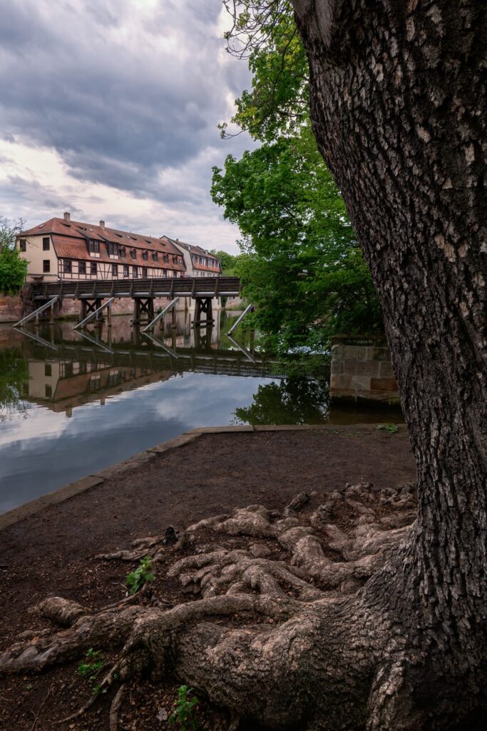 Baumwurzel im Vordergrund, ruhiger Fluss, Holzbrücke und historische Fachwerkhäuser am Ufer mit Reflexionen im Wasser.