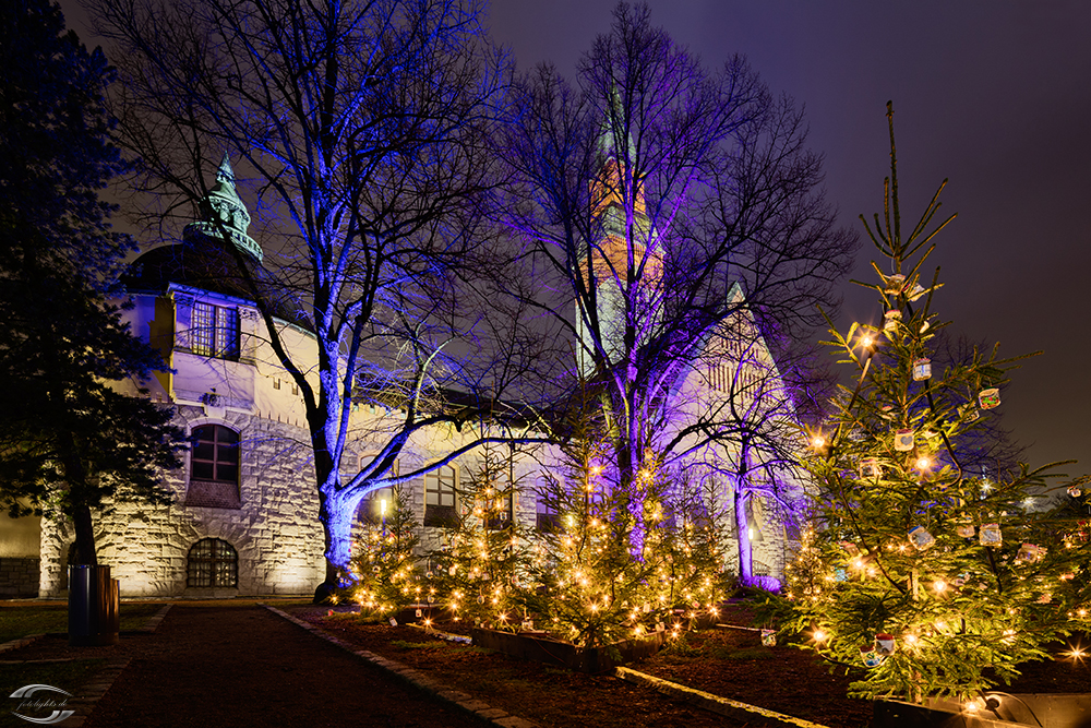 Nachtaufnahme eines historischen Gebäudes mit blau-violetter Außenbeleuchtung und festlich geschmückten Weihnachtsbäumen.