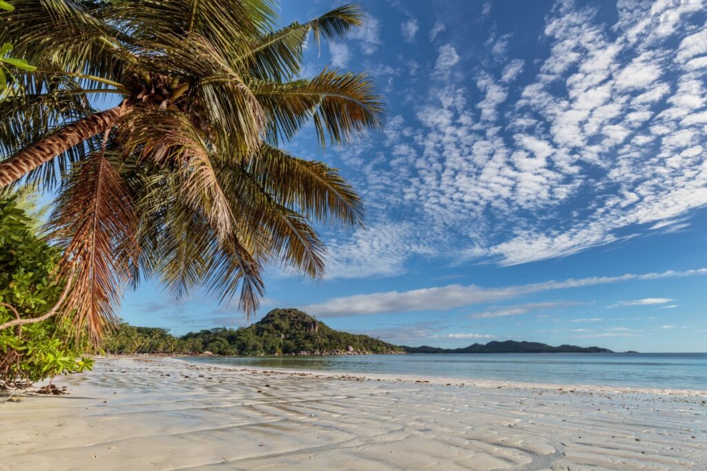 Tropischer Strand mit Palmen, weißem Sand und ruhigem Meer; Inseln am Horizont unter blauem Himmel.