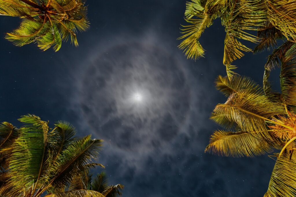 Mondschein-Nachtaufnahme: Mond hinter Wolkenring, von tropischen Palmen rundherum eingerahmt.