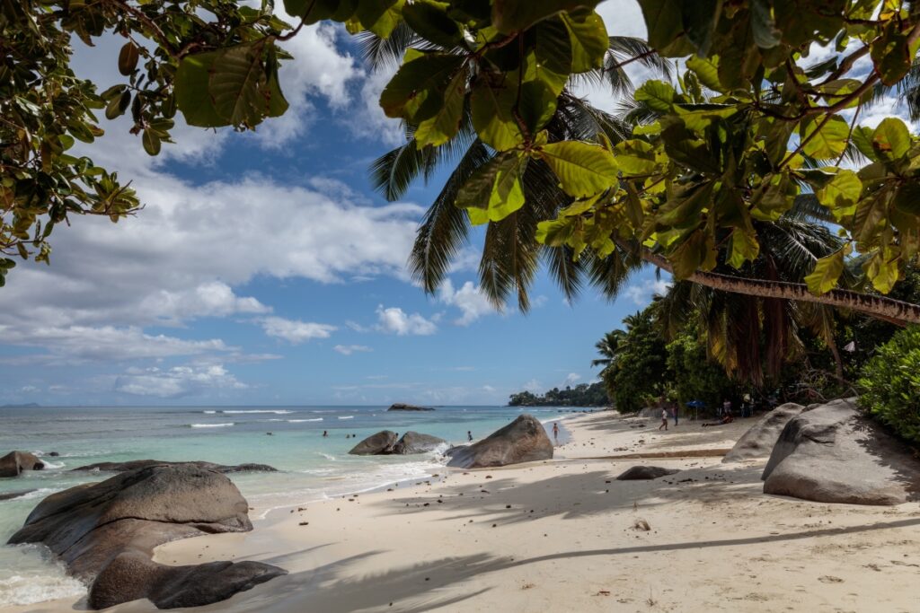 Tropischer Strand mit Palmen, großen Felsen und türkisblauem Meer unter klarem Himmel – idealer Urlaubsort.