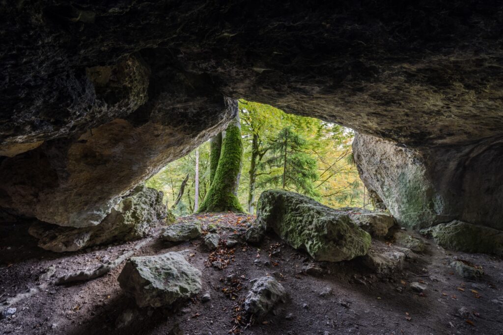 Blick aus einer Felsenhöhle auf einen moosbewachsenen Baum im Wald, Felsvordergrund, Herbstlaub.