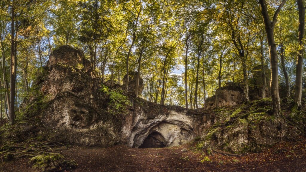 Waldlandschaft mit Felsgrotte und Höhle, umgeben von moosbewachsenen Felsen und grünem Laub.