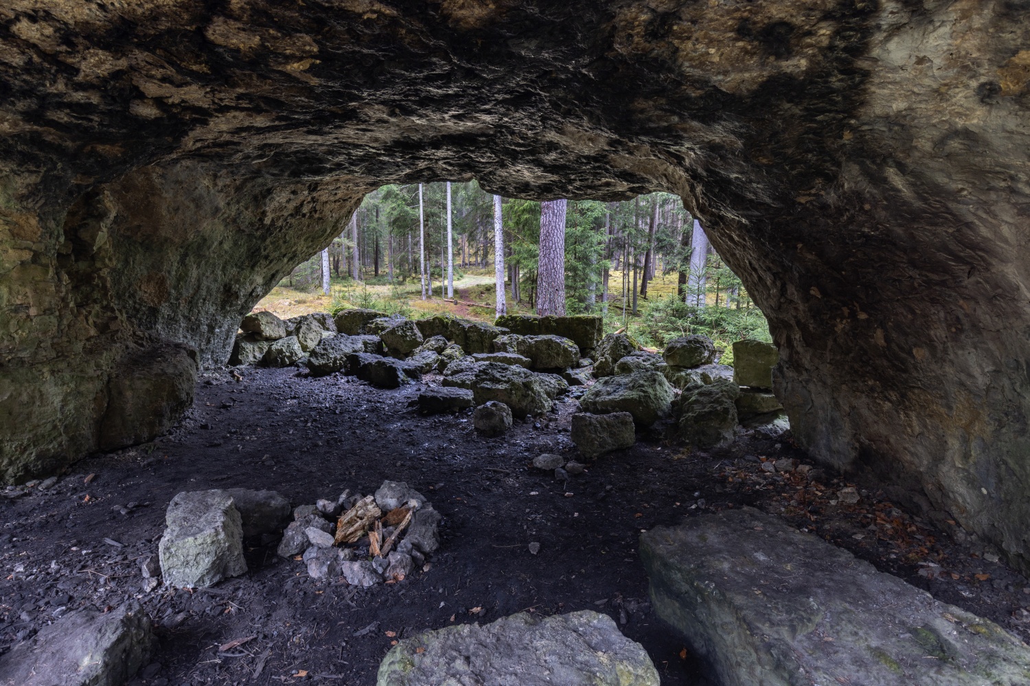 Der Veldensteiner Forst