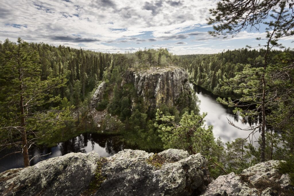 Panoramablick: Felsplateau über dem Fluss, umgeben von dichtem Nadelwald – Waldlandschaft mit Wasser.